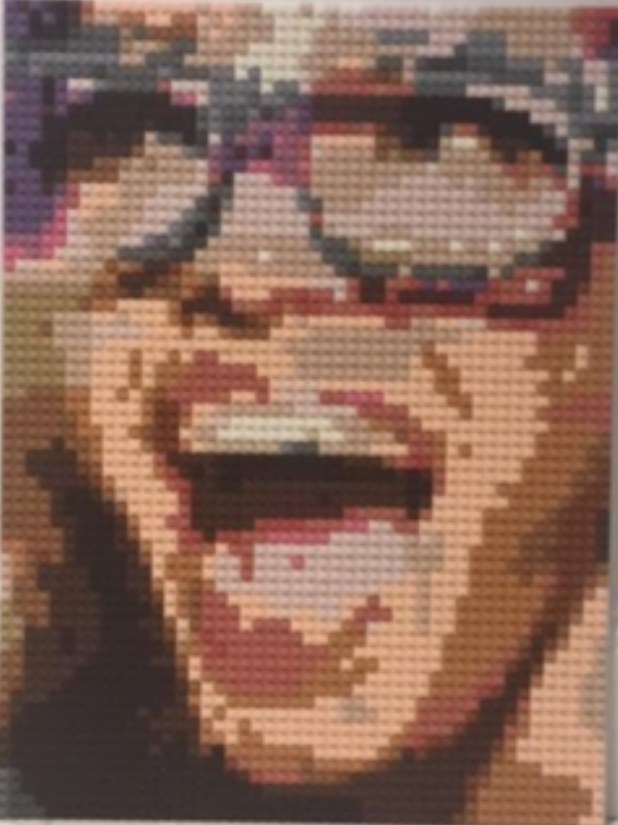 A real, finished portrait-format brick mosaic